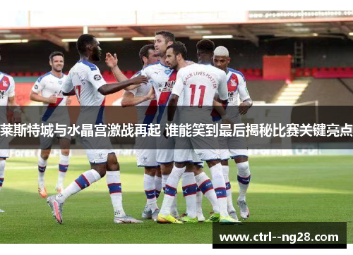 莱斯特城与水晶宫激战再起 谁能笑到最后揭秘比赛关键亮点