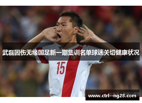 武磊因伤无缘国足新一期集训名单球迷关切健康状况 武磊因伤无缘国足新一期集训名单球迷关切健康状况