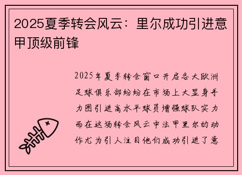 2025夏季转会风云:里尔成功引进意甲顶级前锋 2025夏季转会风云:里尔成功引进意甲顶级前锋